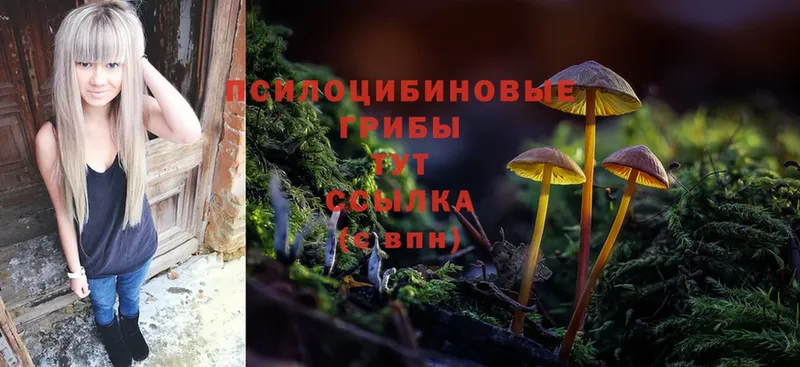 Псилоцибиновые грибы Magic Shrooms  сколько стоит  Новопавловск 